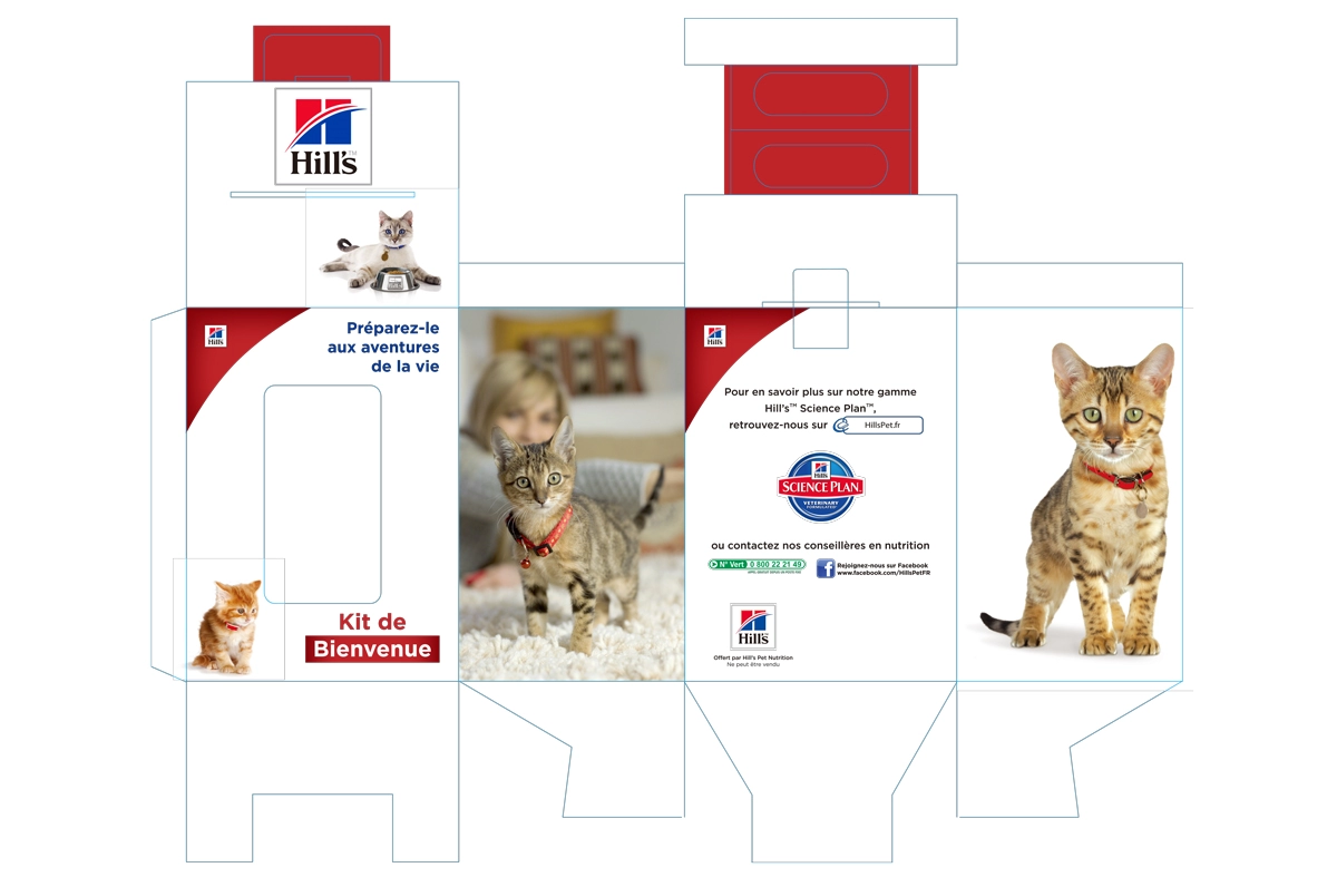 free dieline template creating for the snap bottom box