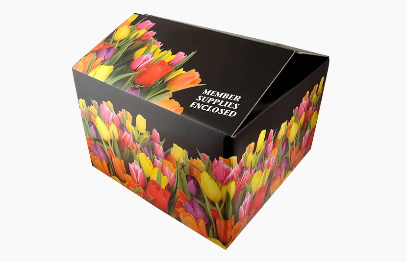 litho-offset-printed-carton-box