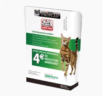 bag style paper box with the auto locked bottom, paper printed box, printed folding carton